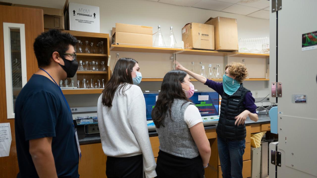 Students participating in an Envision program visit. 
